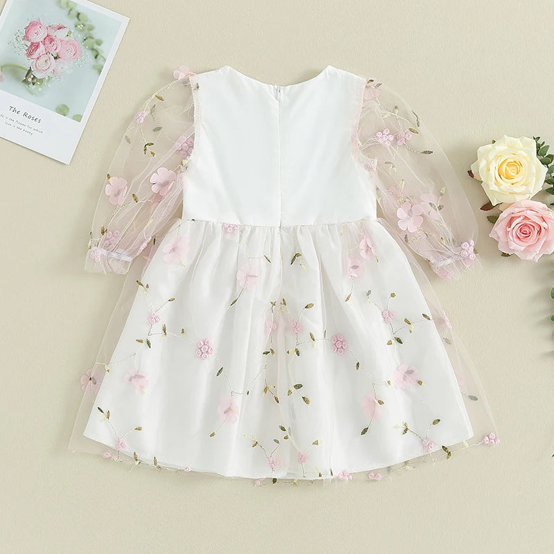 Girls Dress Flower Embroidery Mesh Long Puff Sleeve Dress Fall Casual Sweet Dress