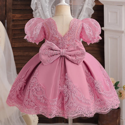 Embroidery Lace Floral Baby Dress Pink Flower Girl Dress for Wedding Ceremony